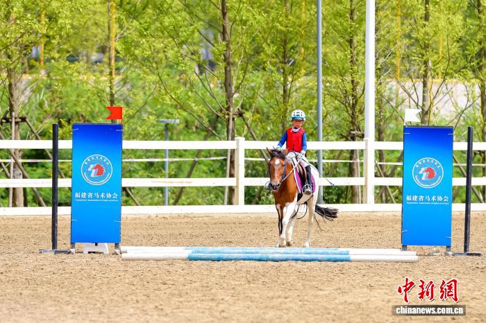 两岸青少年在福州“骑”聚，以马会友促交流—